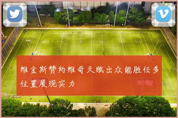 维金斯赞约维奇天赋出众能胜任多位置展现实力