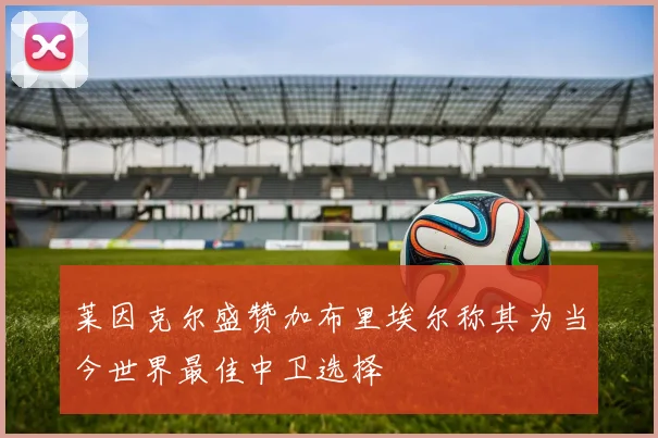 莱因克尔盛赞加布里埃尔称其为当今世界最佳中卫选择